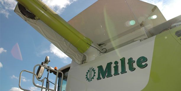 Milte GmbH & Co. KG